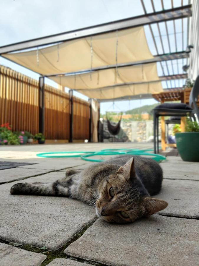 Vigeo Lounge B&B Coffee ボイニツェ エクステリア 写真